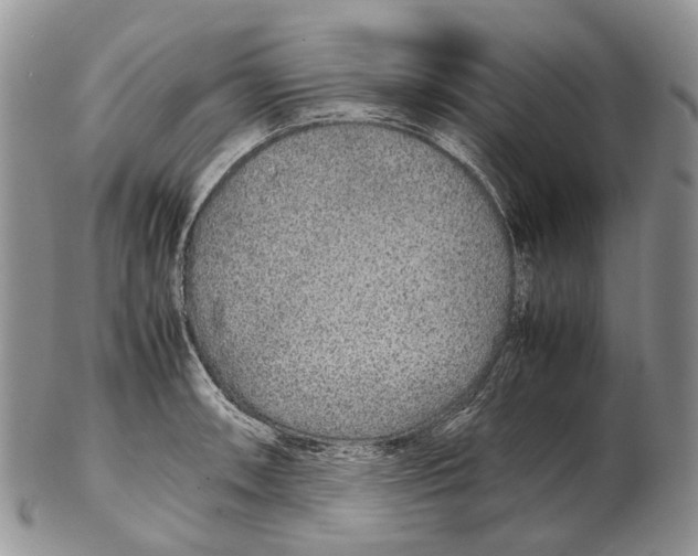 X0000102271090200808221432