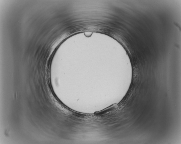 X0000102271091200808221432