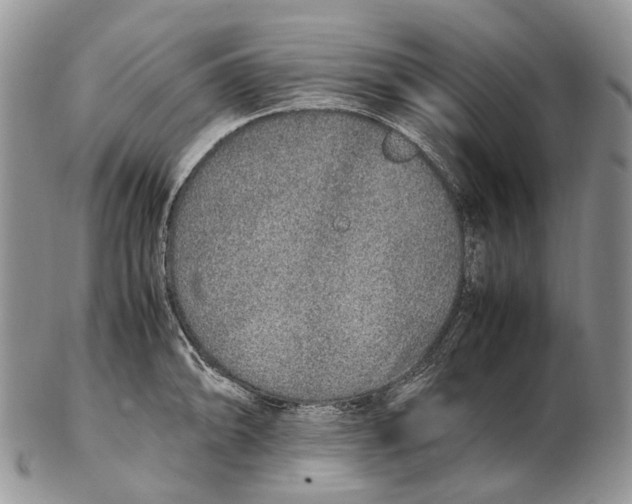 X0000102271094200808221432