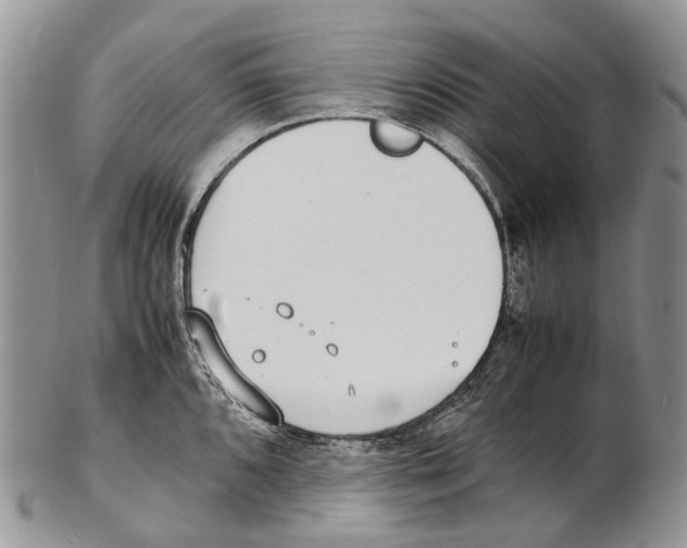 X0000102271096200808221432