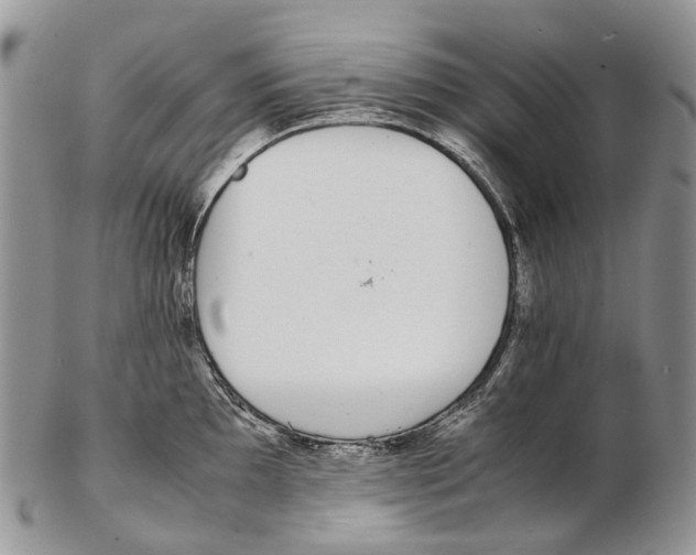 X0000102271097200808221432