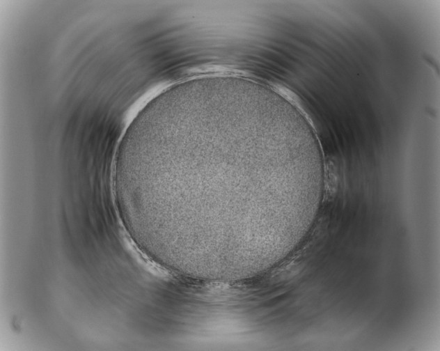 X0000102271098200808221432