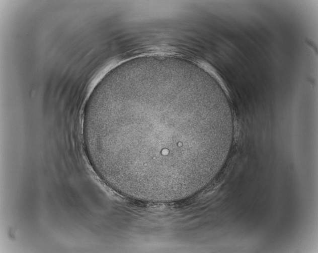 X0000102271099200808221432