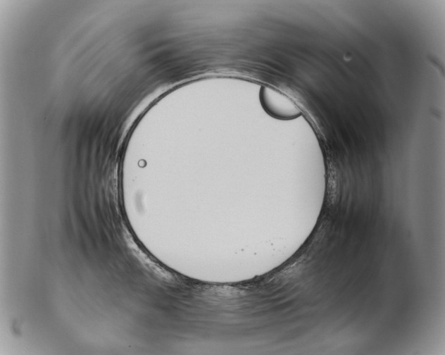 X0000102271100200808221432