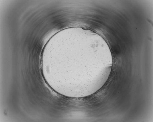 X0000102271103200808221432
