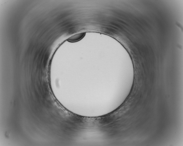 X0000102271104200808221432