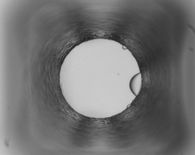 X0000102271105200808221431