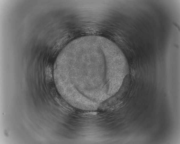 X0000102271106200808221431