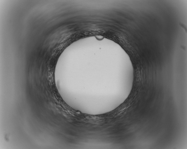 X0000102271109200808221431