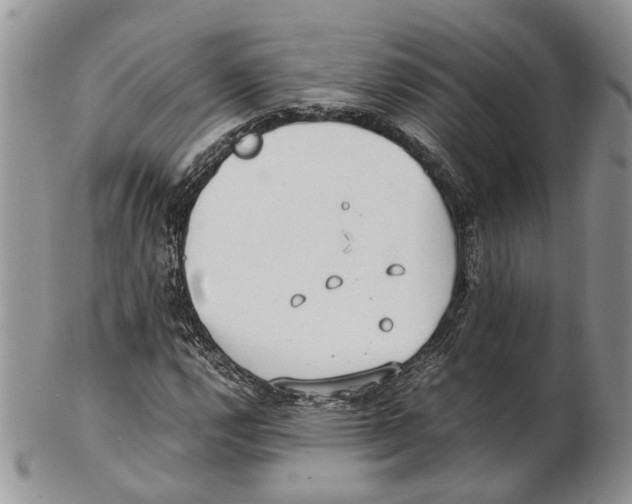 X0000102271112200808221431