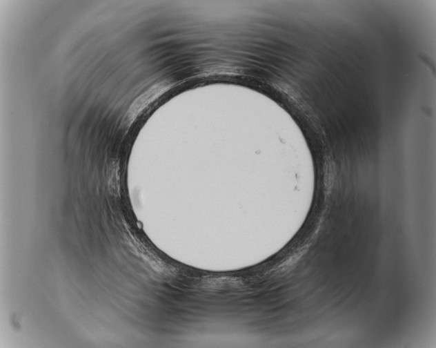 X0000102271113200808221431
