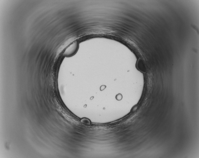 X0000102271114200808221431
