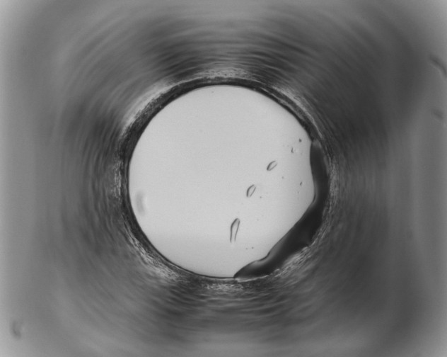 X0000102271115200808221431