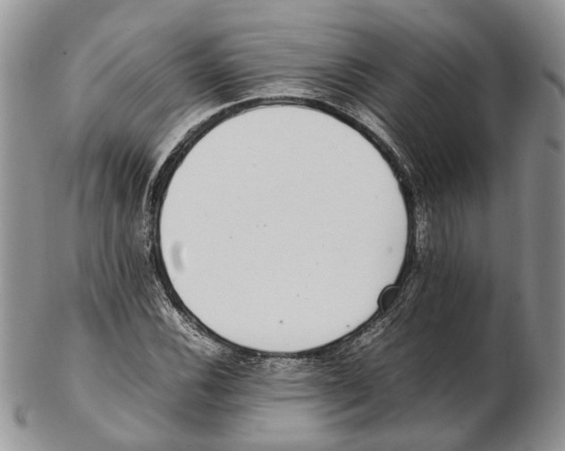 X0000102271116200808221431