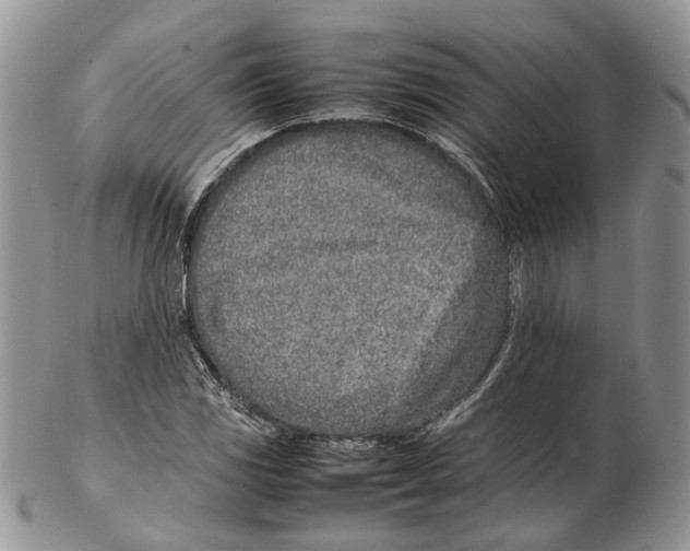 X0000102271117200808221431