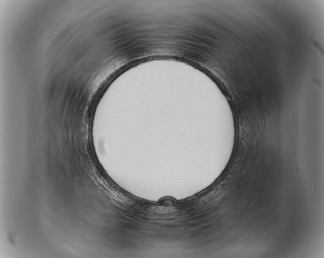 X0000102271119200808221432