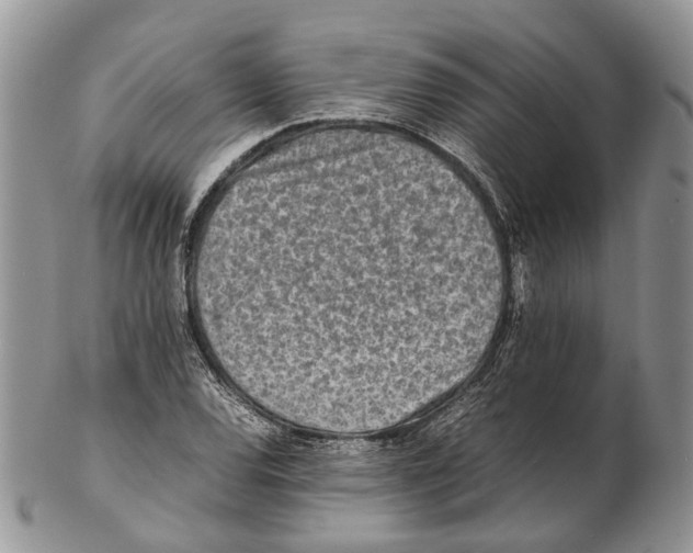 X0000102271120200808221432