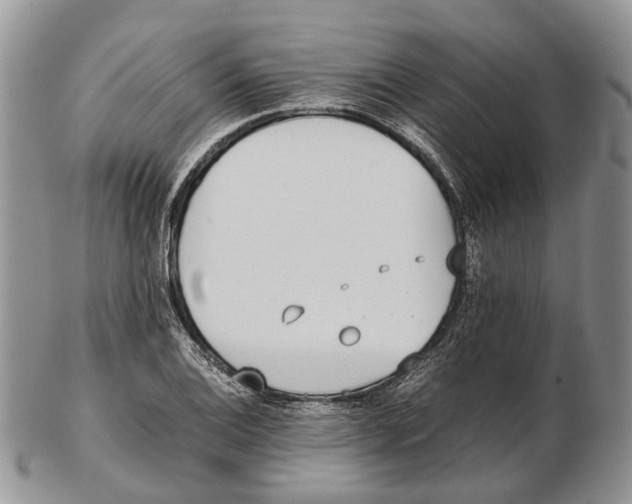 X0000102271124200808221432