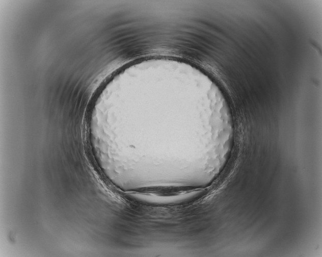 X0000102271125200808221432