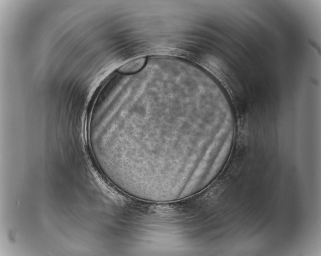 X0000102271128200808221432