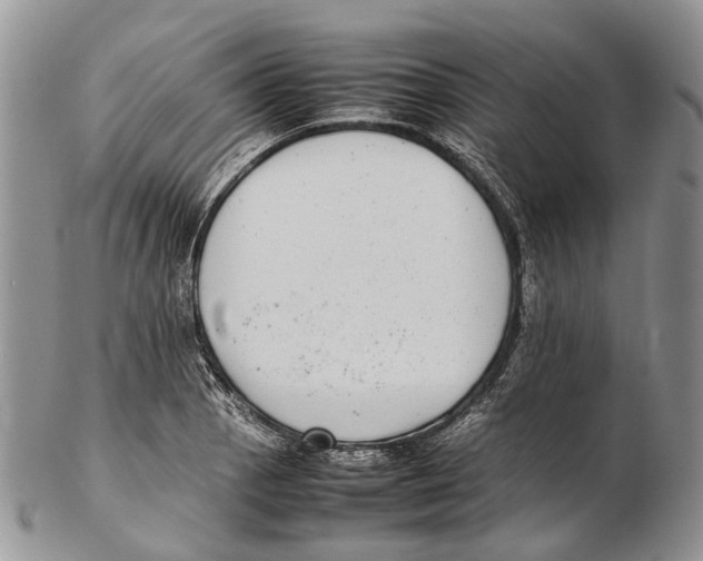 X0000102271129200808221432