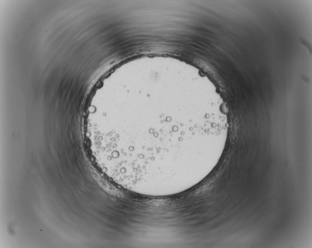 X0000102271130200808221432