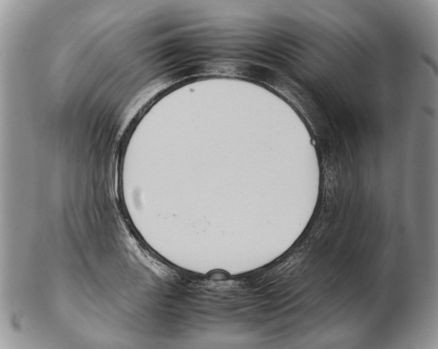 X0000102271131200808221432