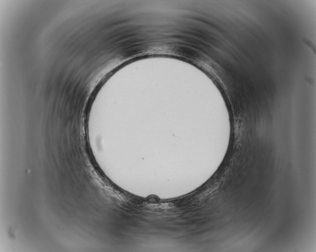 X0000102271133200808221432