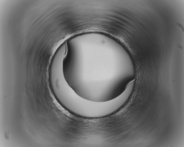 X0000102271134200808221432