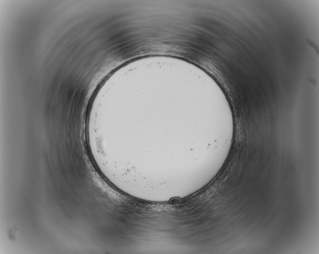 X0000102271136200808221432