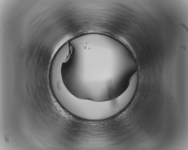 X0000102271138200808221432
