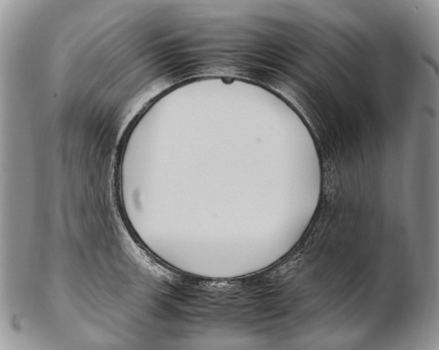 X0000102271139200808221432