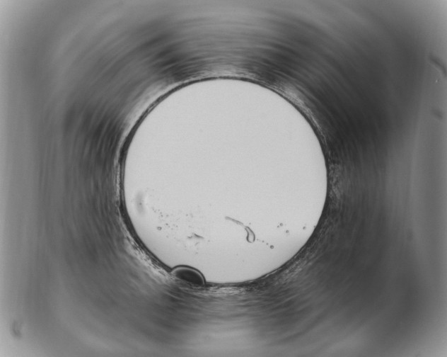 X0000102271140200808221432