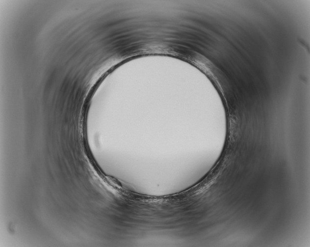 X0000102271141200808221432