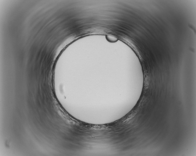 X0000102271146200808221432
