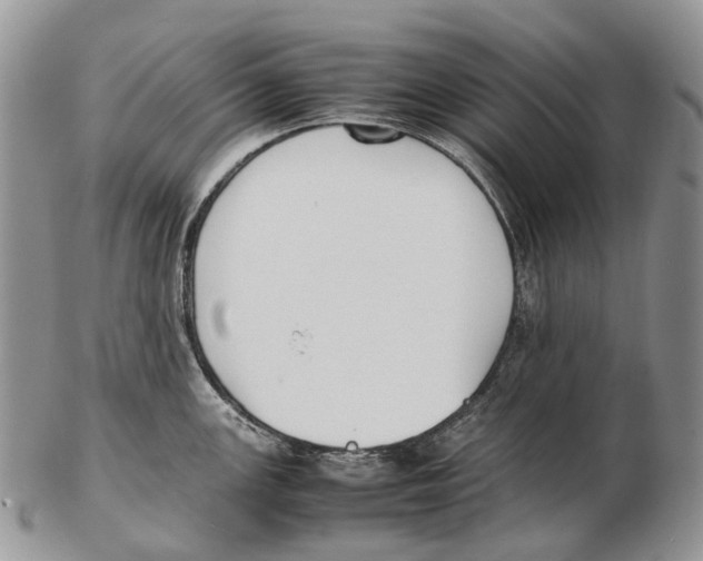 X0000102271147200808221432