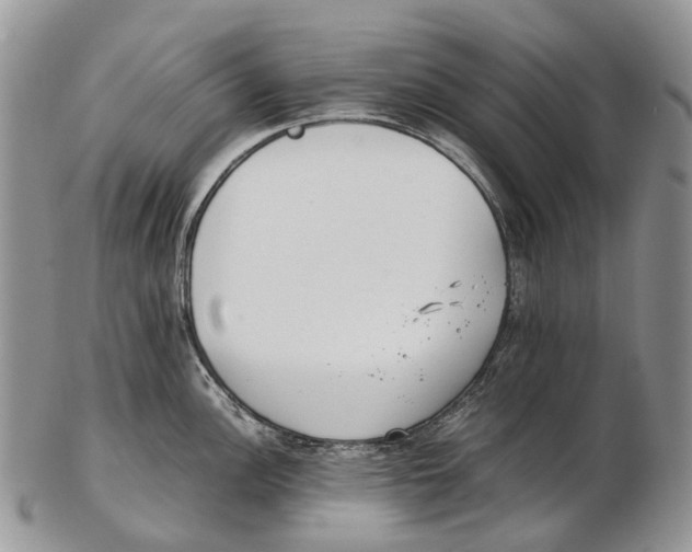 X0000102271148200808221432