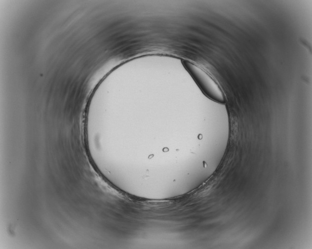 X0000102271151200808221432