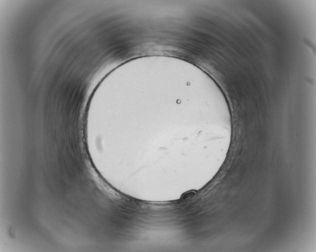 X0000102271152200808221432