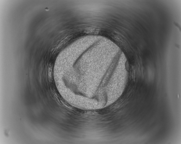 X0000102271154200808221431