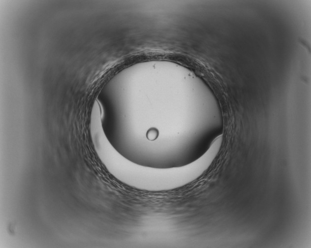 X0000102271157200808221431
