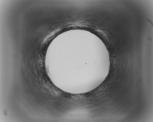 X0000102271159200808221431