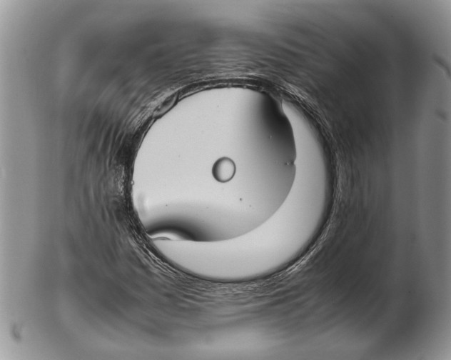 X0000102271161200808221431