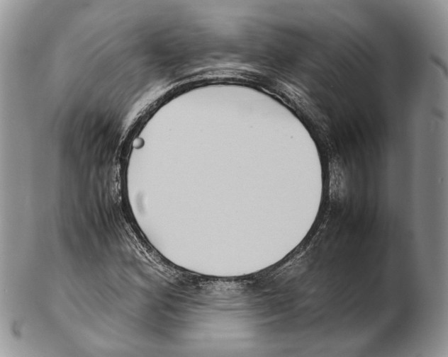 X0000102271164200808221431