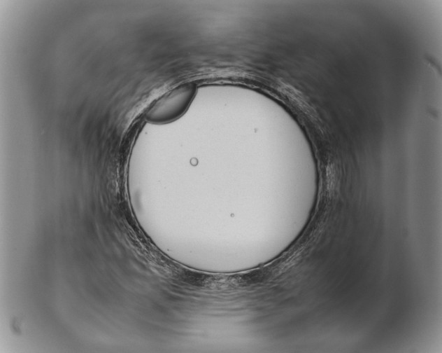 X0000102271165200808221431