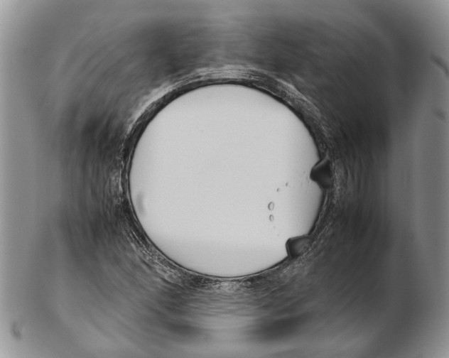 X0000102271166200808221431