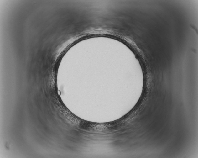 X0000102271167200808221431
