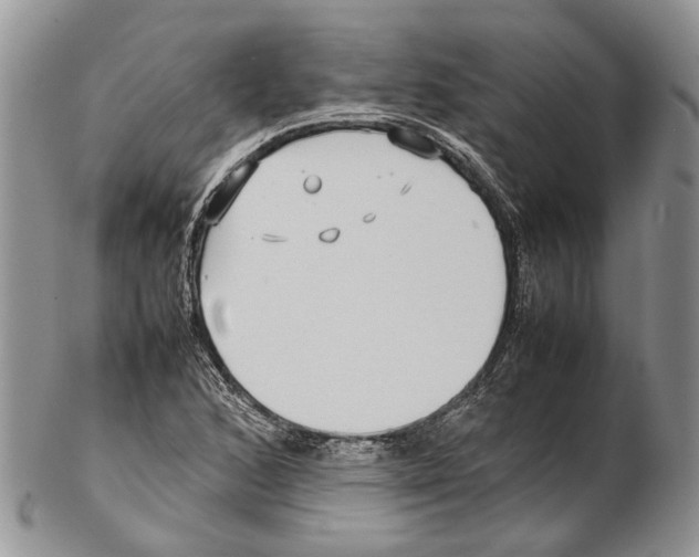 X0000102271168200808221431
