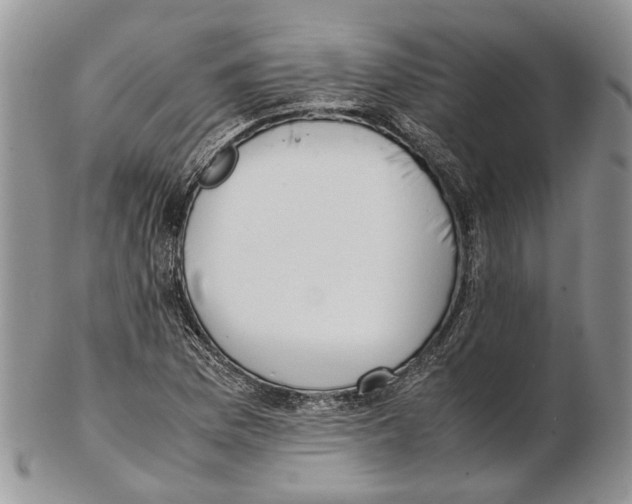 X0000102271169200808221431