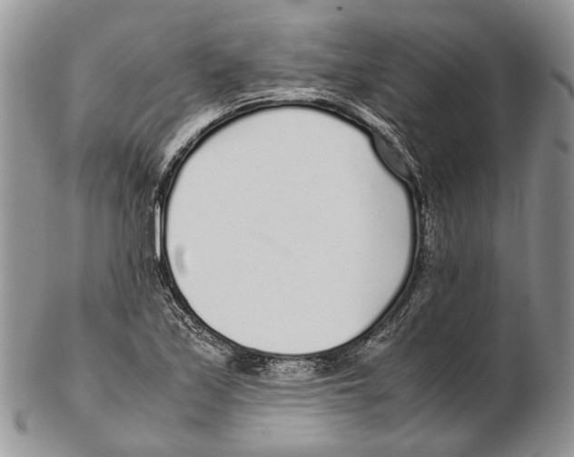 X0000102271171200808221431
